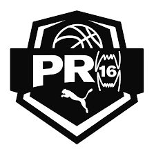 Puma PRO16 logo